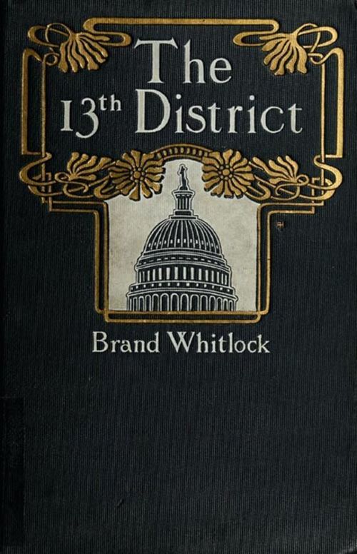 The 13th District / A Story of a Candidate