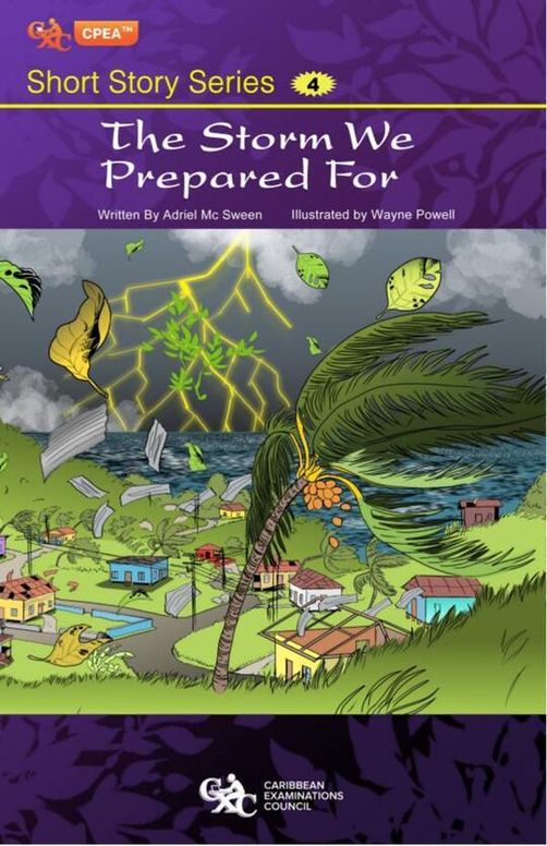 The Storm We Prepared For