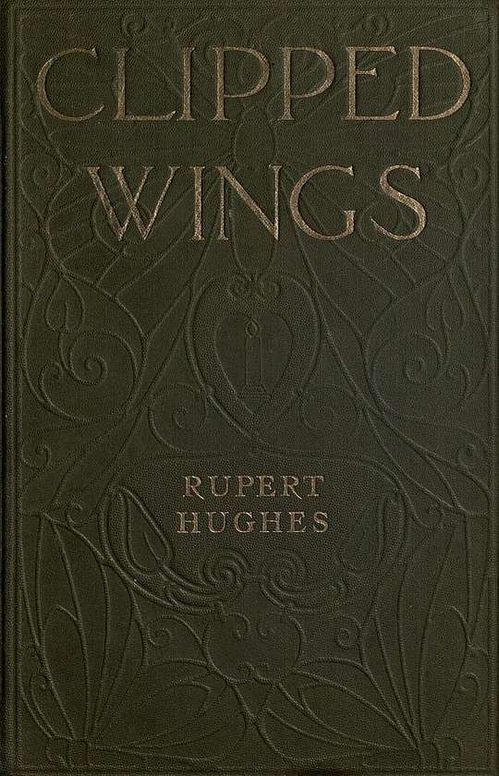 Clipped Wings