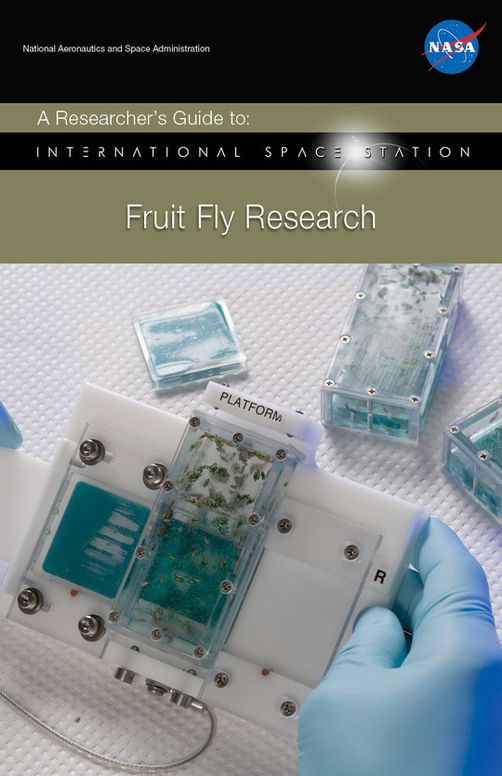A Researcher's Guide to Fruit Fly Research