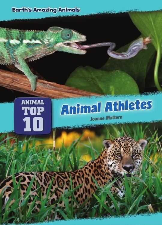 Top 10 Animal Athletes