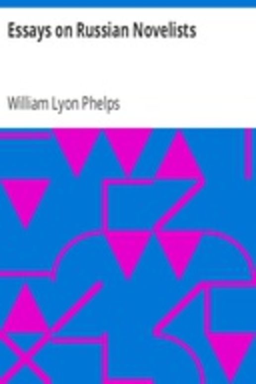 Essays on Russian Novelists