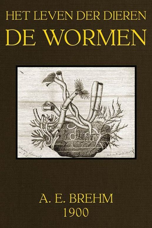 Het Leven der Dieren, Deel 3, Hoofdstuk 6 / De Wormen