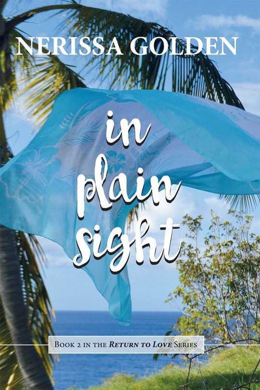 In Plain Sight (Return to Love, #2)