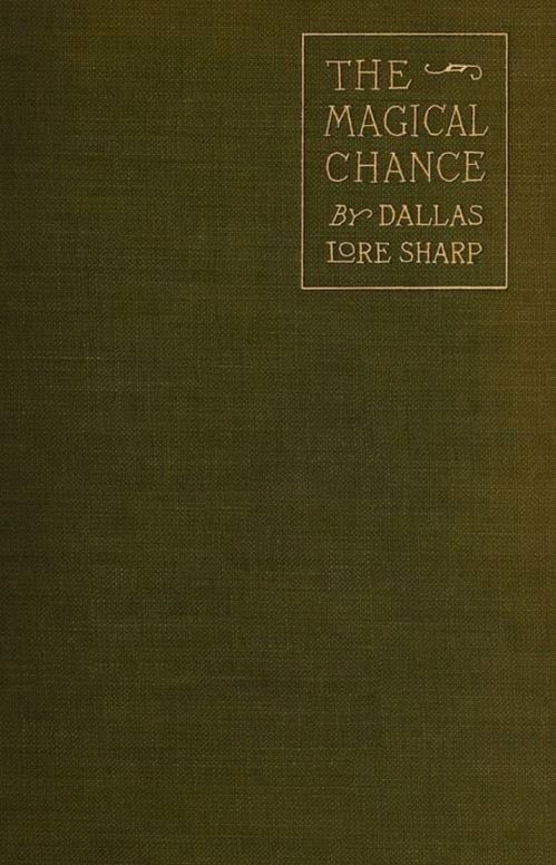 The Magical Chance