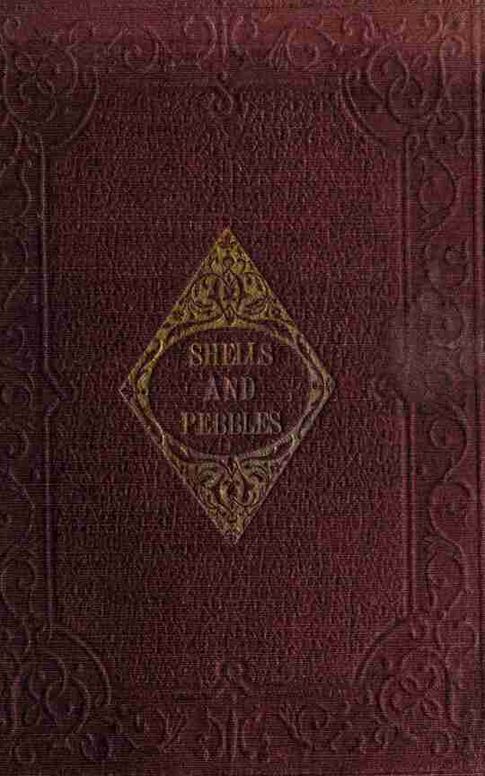 Shells and pebbles: A story for children