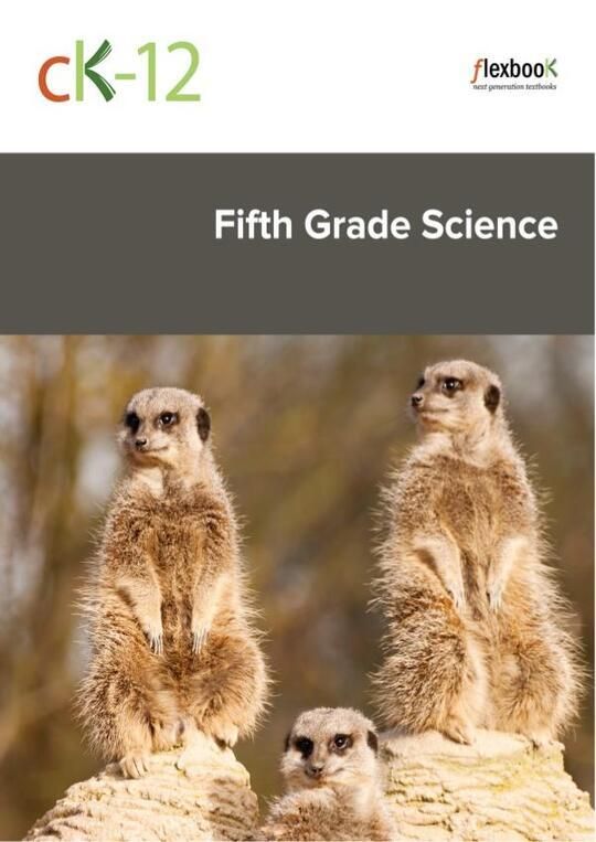 CK-12-Fifth-Grade-Science_b_v1_tz6