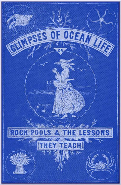 Glimpses of Ocean Life Rock-Pools and the Lessons they Teach