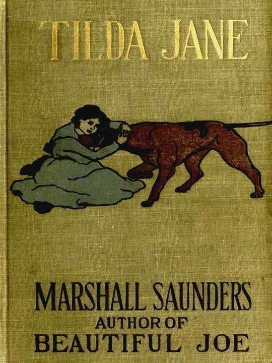 'Tilda Jane An Orphan in Search of a Home