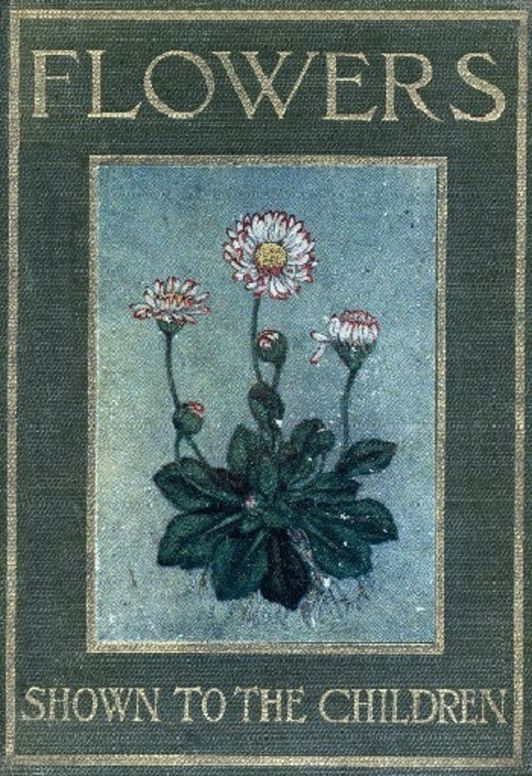 Flowers Shown to the Children