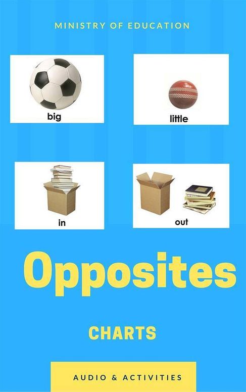Opposites Charts