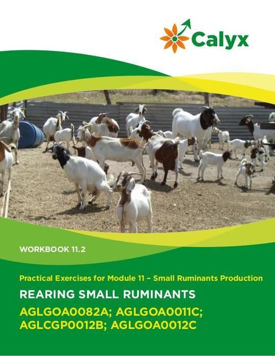 Rearing Small Ruminants