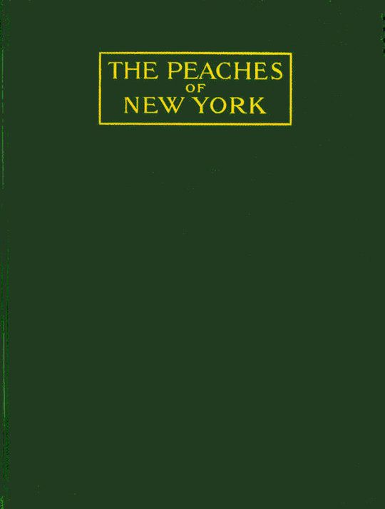 The Peaches of New York