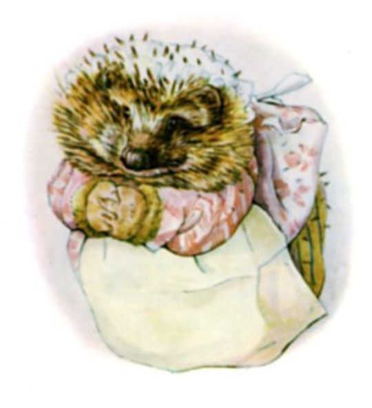 The tale of Mrs. Tiggy-Winkle