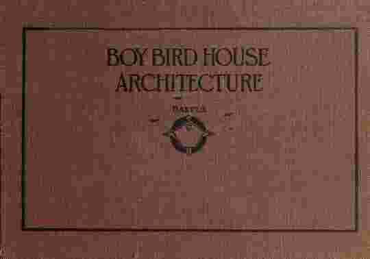 Boy bird house architecture