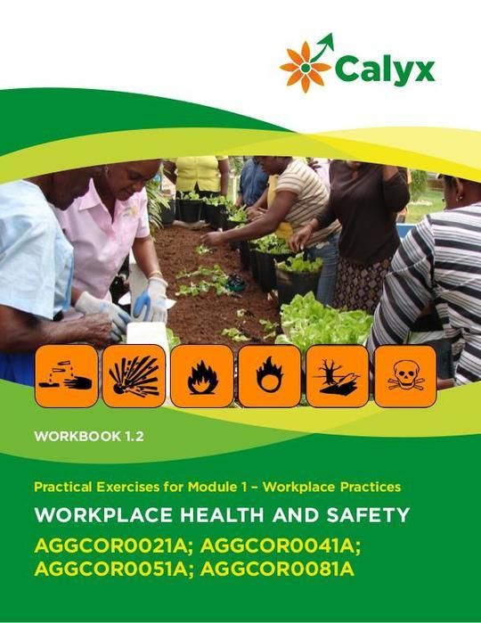 Workplace Health and Safety