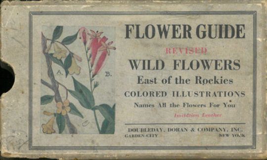 Flower Guide Wild Flowers East of the Rockies (Revised and with New Illustrations)