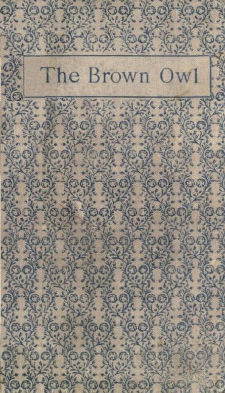 The Brown Owl A Fairy Story