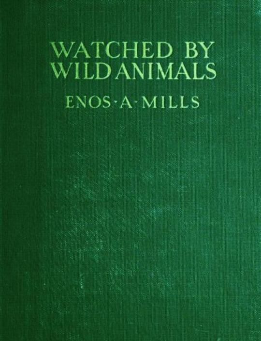Watched by Wild Animals
