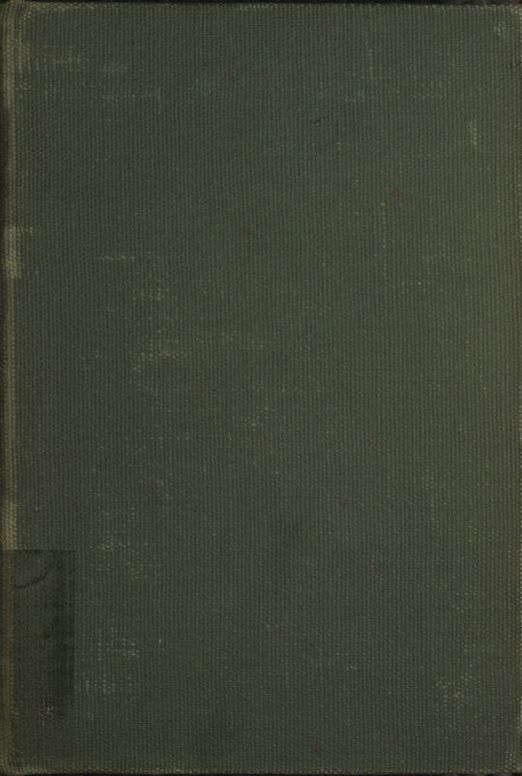 A Son of the Ages: The Reincarnations and Adventures of Scar, the Link