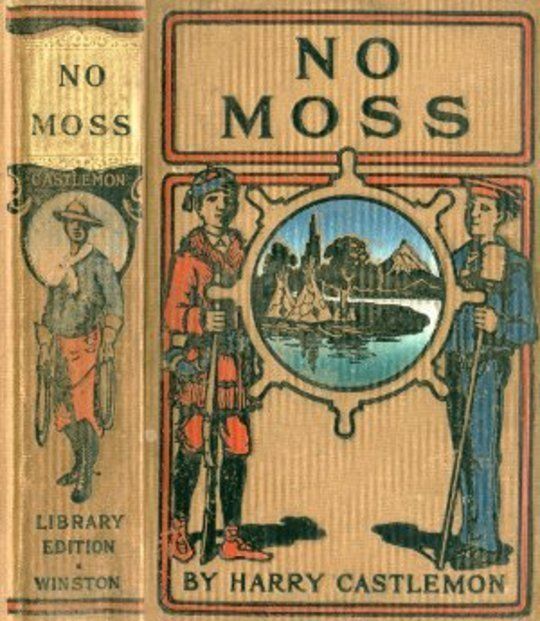 No Moss; Or, The Career of a Rolling Stone
