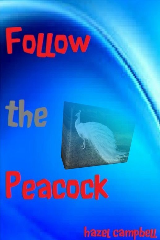 Follow the Peacock