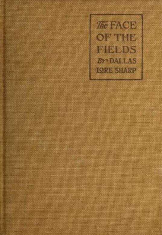 The Face of the Fields
