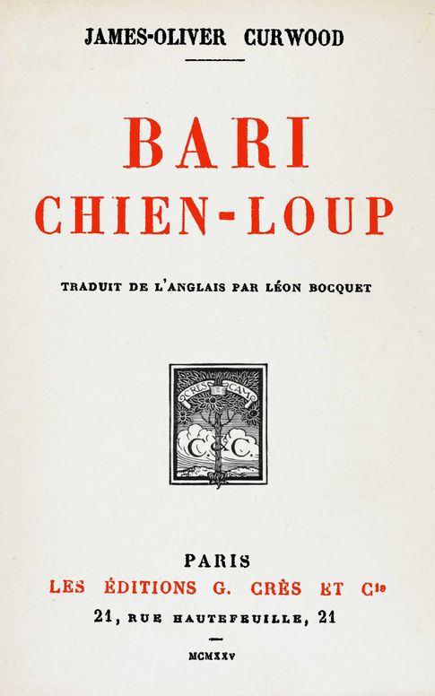 Bari, chien-loup