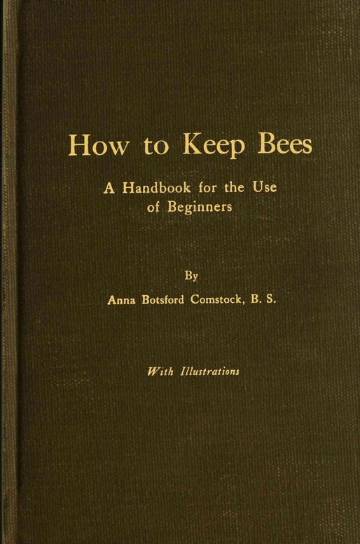 How to keep bees