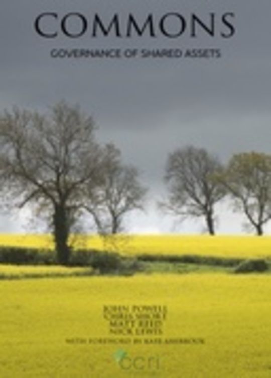 Commons: Governance of Shared Assets