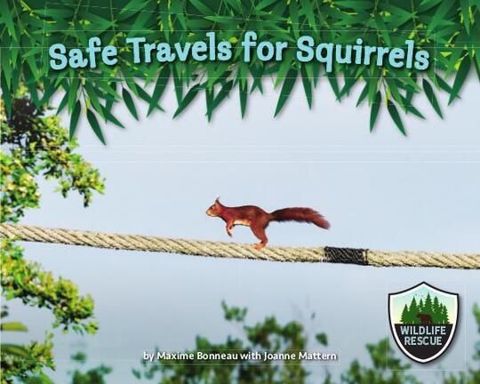 WildlifeRescue_Squirrels.indd