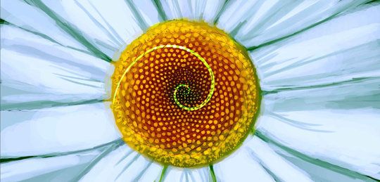 The Fascinating Fibonaccis
