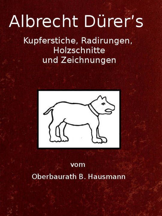 Albrecht Dürer's Kupferstiche, Radirungen, Holzschnitte und Zeichnungen unter besonderer Berücksichtigung der dazu verwandten Papiere und deren Wasserzeichen