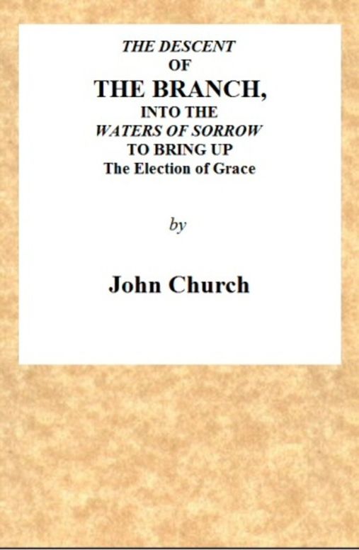 The Descent of the Branch into the Waters of Sorrow
to bring up the Election of Grace