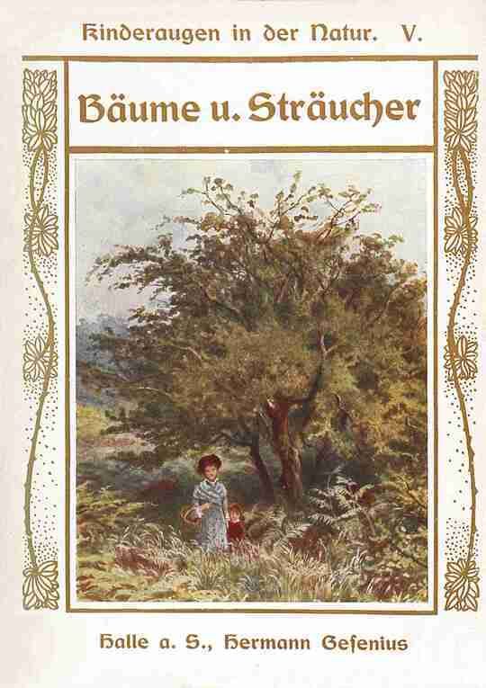 Bäume und Sträucher