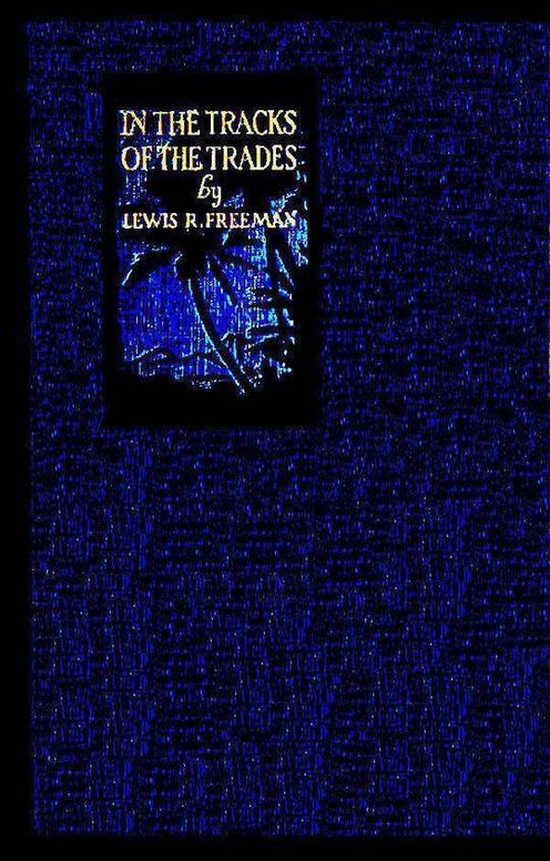 In the Track of the Trades The Account of a Fourteen Thousand Mile Yachting Cruise to the Hawaiis, Marquesas, Societies, Samoas and Fijis