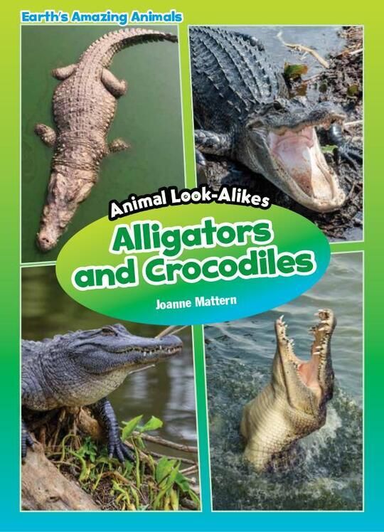Alligators and Crocodiles