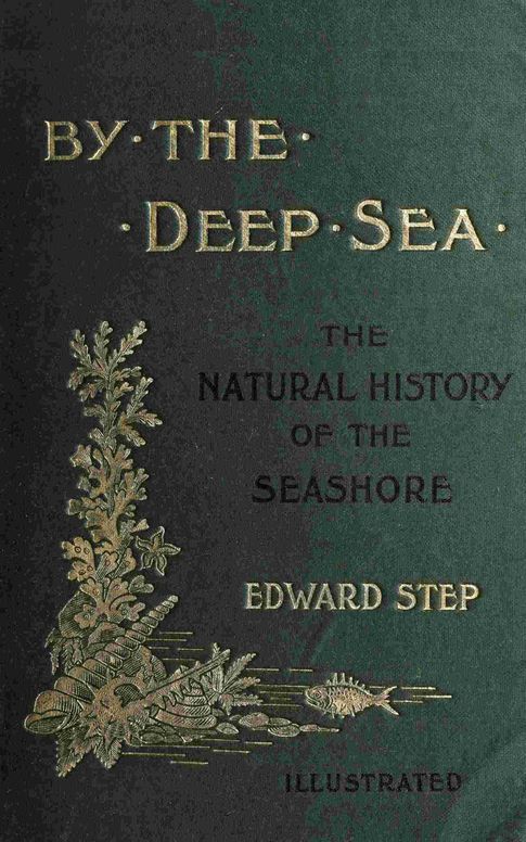 By the deep sea
