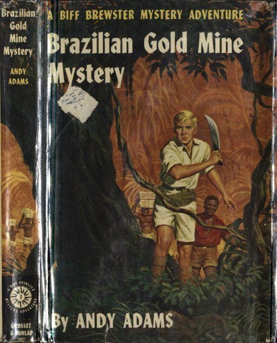 Brazilian Gold Mine Mystery A Biff Brewster Mystery Adventure