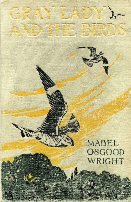 Gray Lady and the Birds / Stories of the Bird Year for Home and School