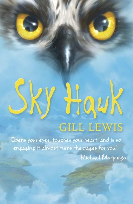 Sky Hawk