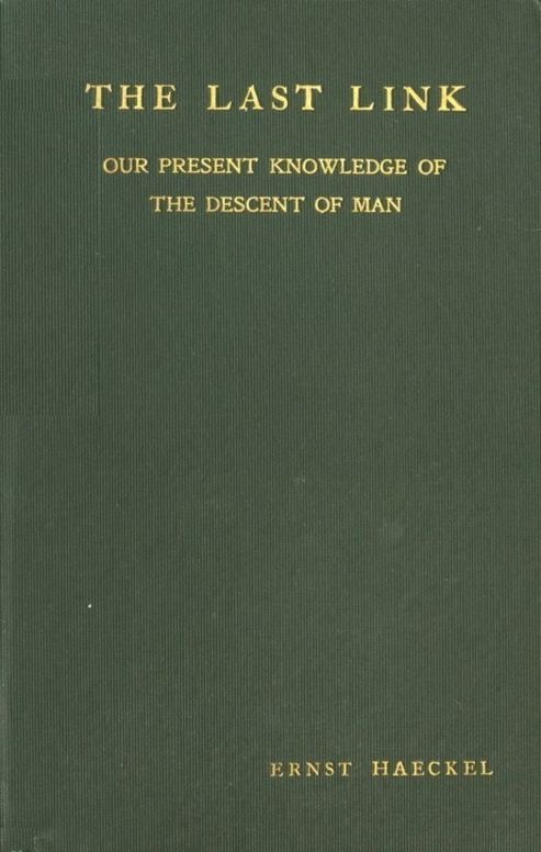 The Last Link Our Present Knowledge of the Descent of Man