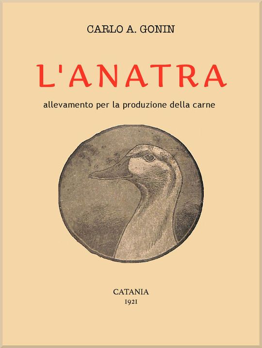 L'anatra
Allevamento per la produzione della carne