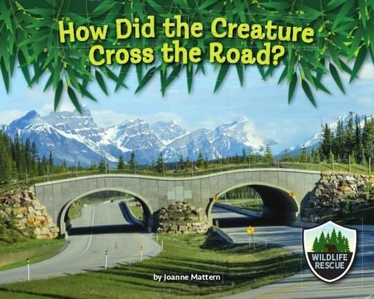 WildlifeRescue_CrossRoad.indd