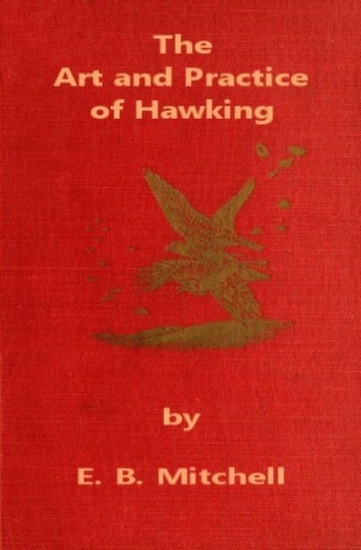 The Art and Practice of Hawking