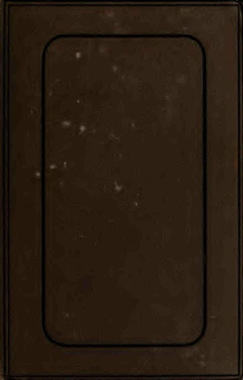 The Wizard's Son, Vol. 1(of 3)