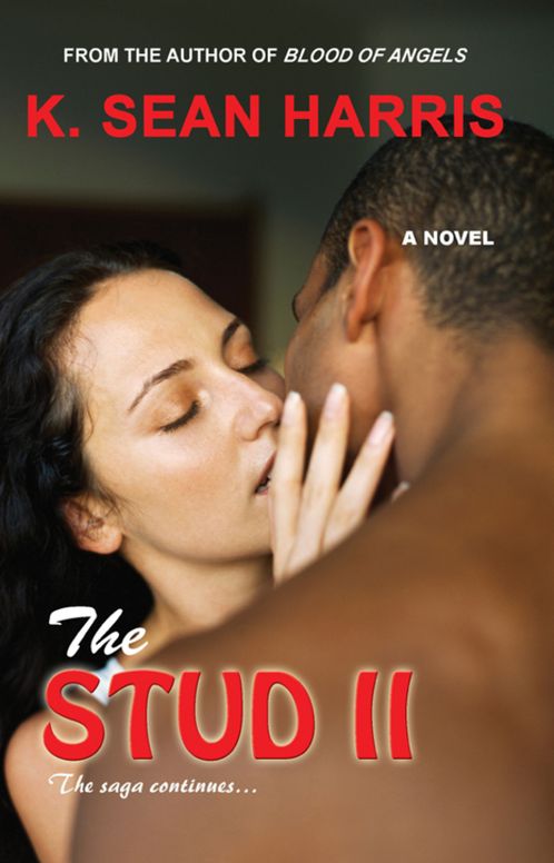 The Stud II