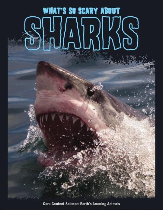 What's So Scary about Sharks