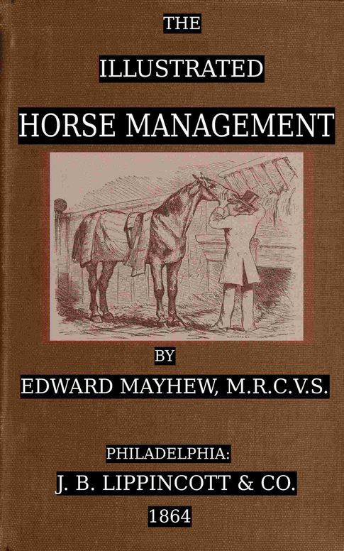The illustrated horse management