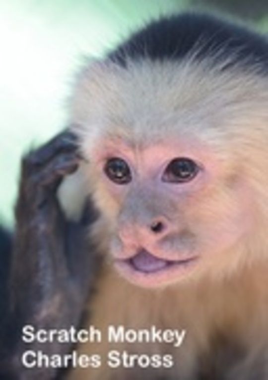 Scratch Monkey